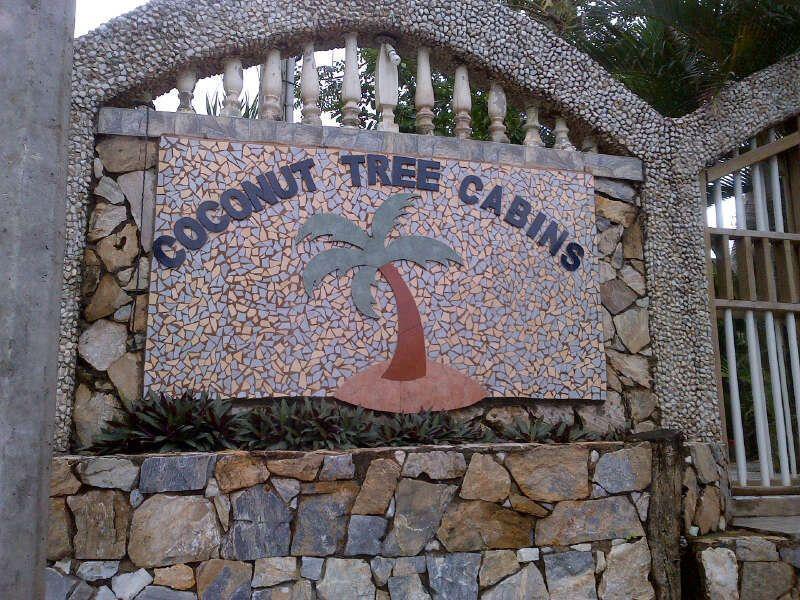 Hotel Coconut Tree West End Exterior foto